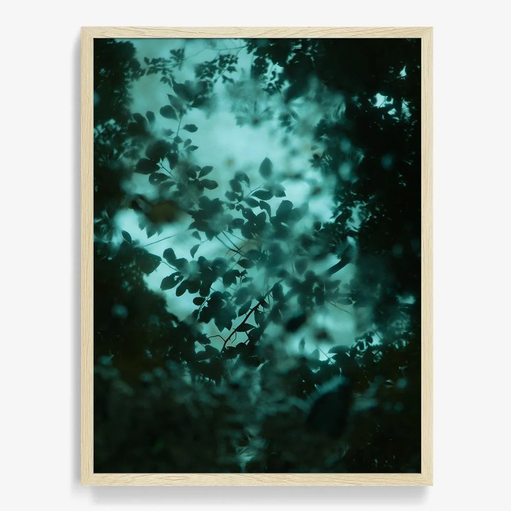 Thumbnail 23