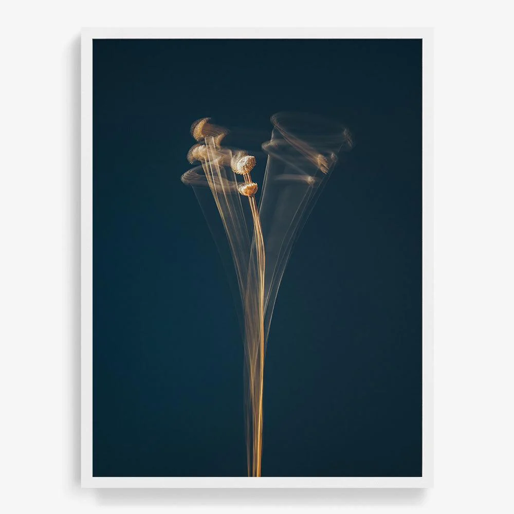 Thumbnail 28