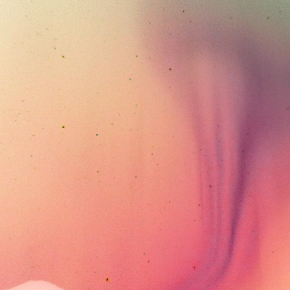 Thumbnail 31